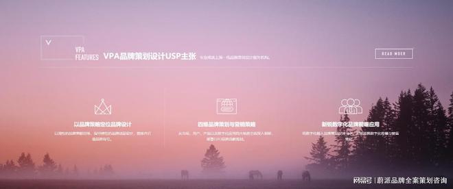ng28南宫相信品牌力量品牌全案设想：塑造共同形象的综合艺术(图2)